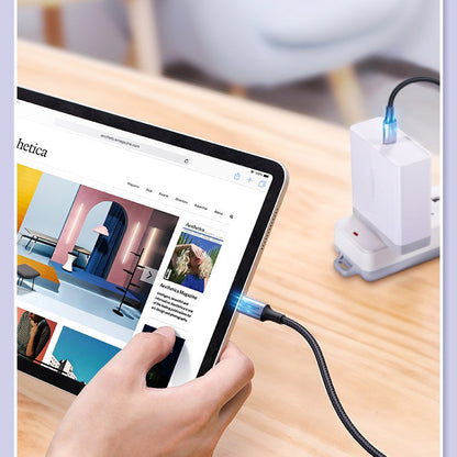 USB-C Data and Charging Cable - USB-C UGREEN US316, 100W, 1m, Grey
